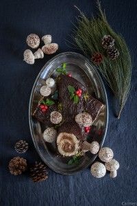 Tronco de navidad cenital